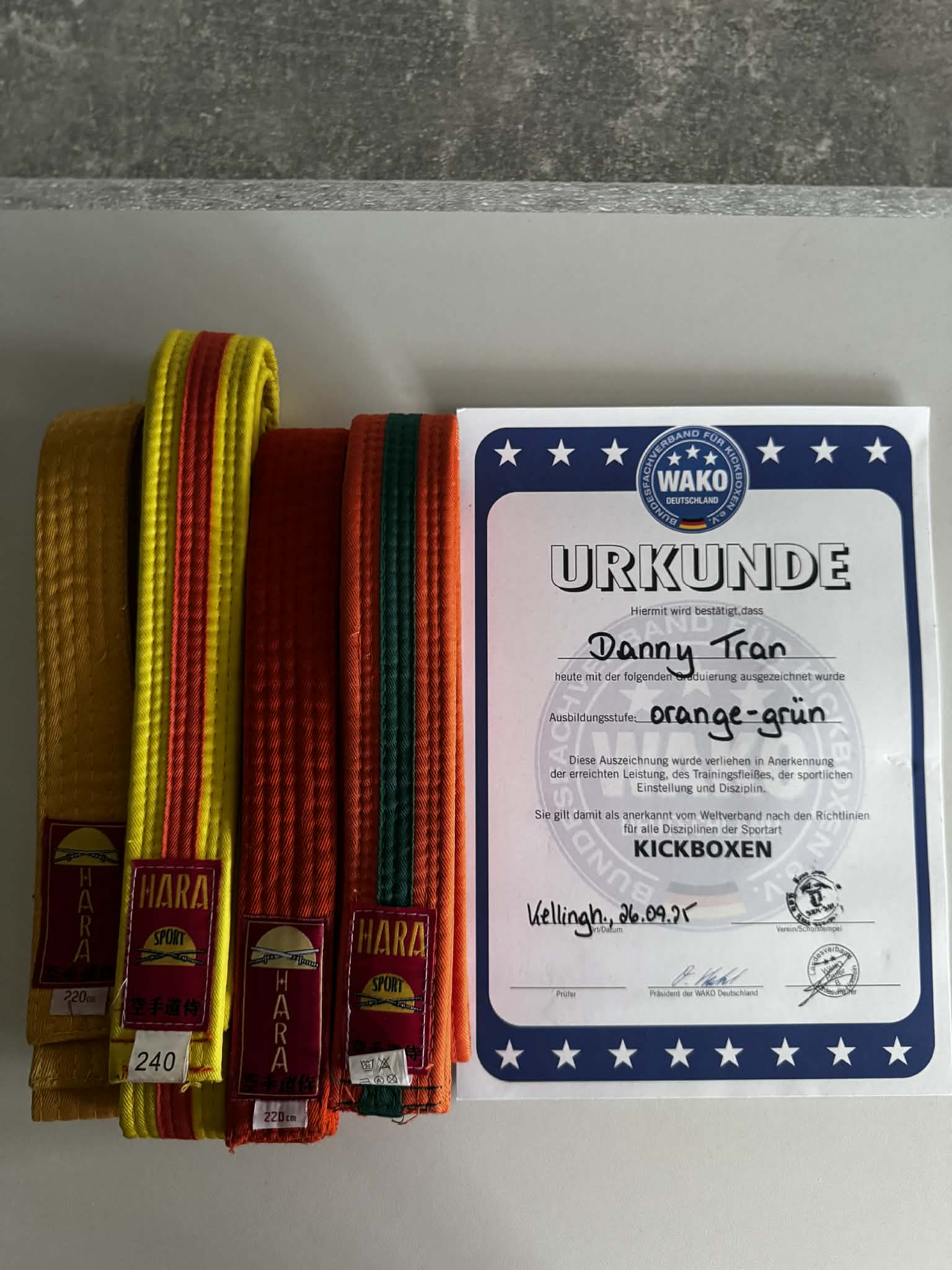 Cậu bé mới 9 tuổi đã đi qua 16 quốc gia, học nhảy lớp: Bị thị phi vì... quá giỏi liền được mẹ động viên 1 câu cực thấm!- Ảnh 7.