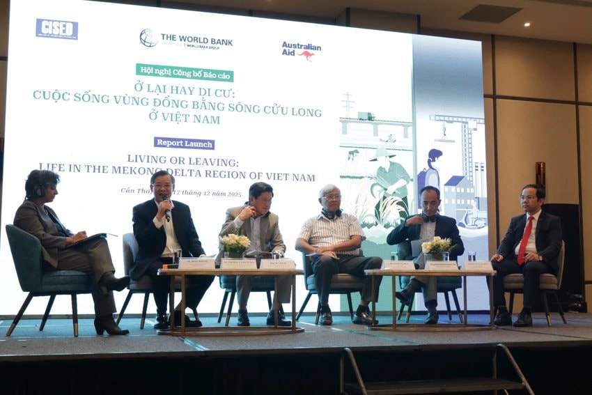 Đ&acirc;u l&agrave; l&yacute; do gần 1,7 triệu người Việt Nam rời khỏi Đồng bằng s&ocirc;ng Cửu Long 10 năm qua?- Ảnh 3.
