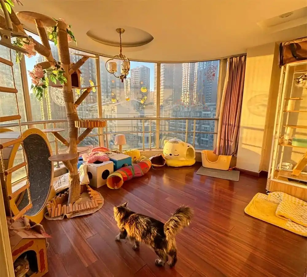 Bức ảnh chụp căn ph&ograve;ng k&igrave; lạ của c&ocirc; g&aacute;i 28 tuổi, ai nh&igrave;n cũng 