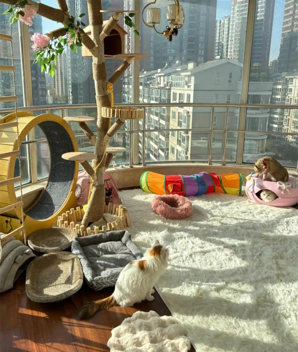 Bức ảnh chụp căn ph&ograve;ng k&igrave; lạ của c&ocirc; g&aacute;i 28 tuổi, ai nh&igrave;n cũng 