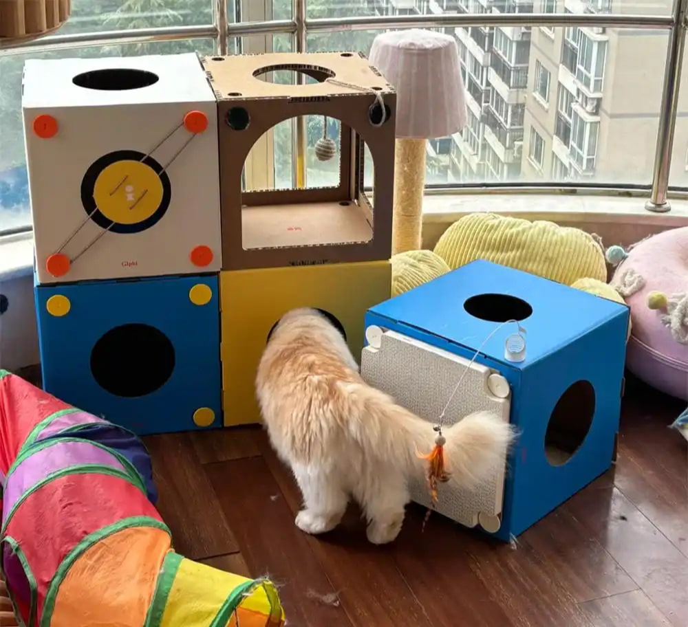 Bức ảnh chụp căn ph&ograve;ng k&igrave; lạ của c&ocirc; g&aacute;i 28 tuổi, ai nh&igrave;n cũng 