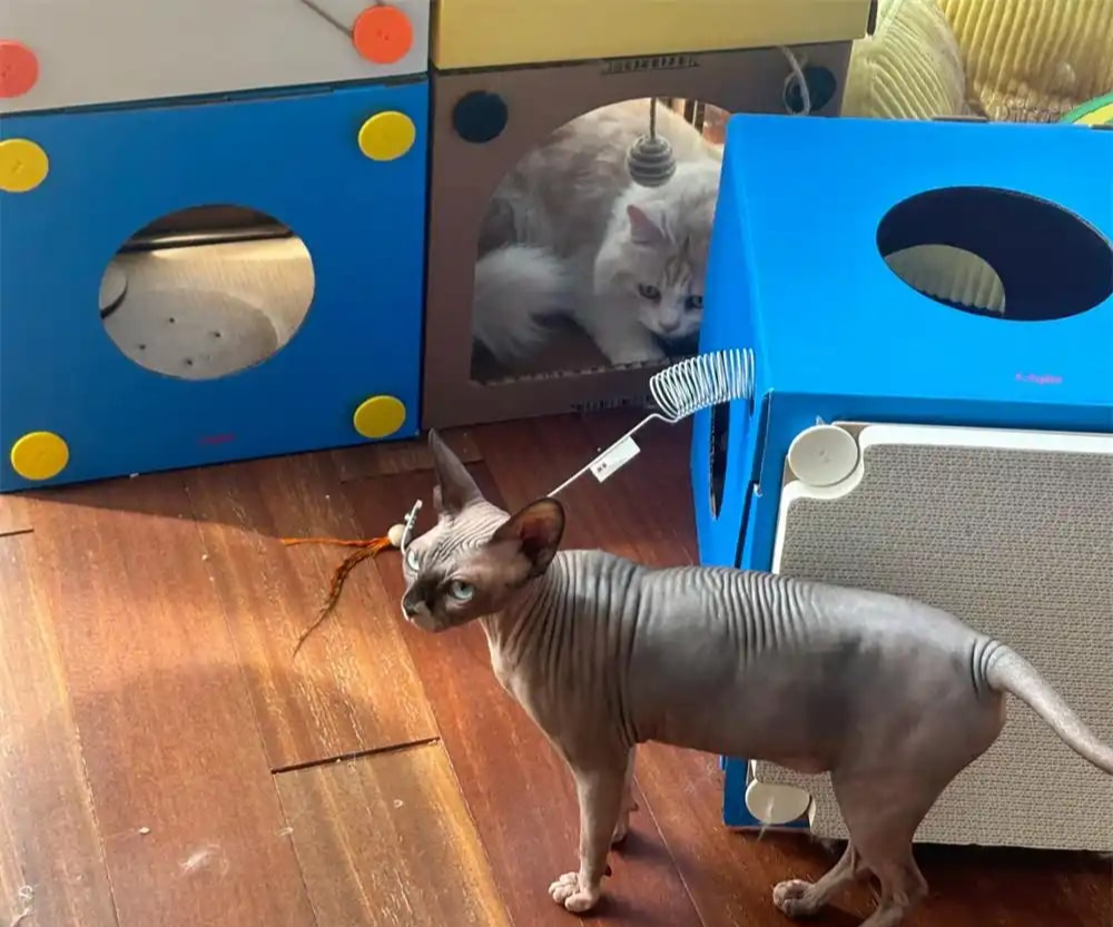 Bức ảnh chụp căn ph&ograve;ng k&igrave; lạ của c&ocirc; g&aacute;i 28 tuổi, ai nh&igrave;n cũng 