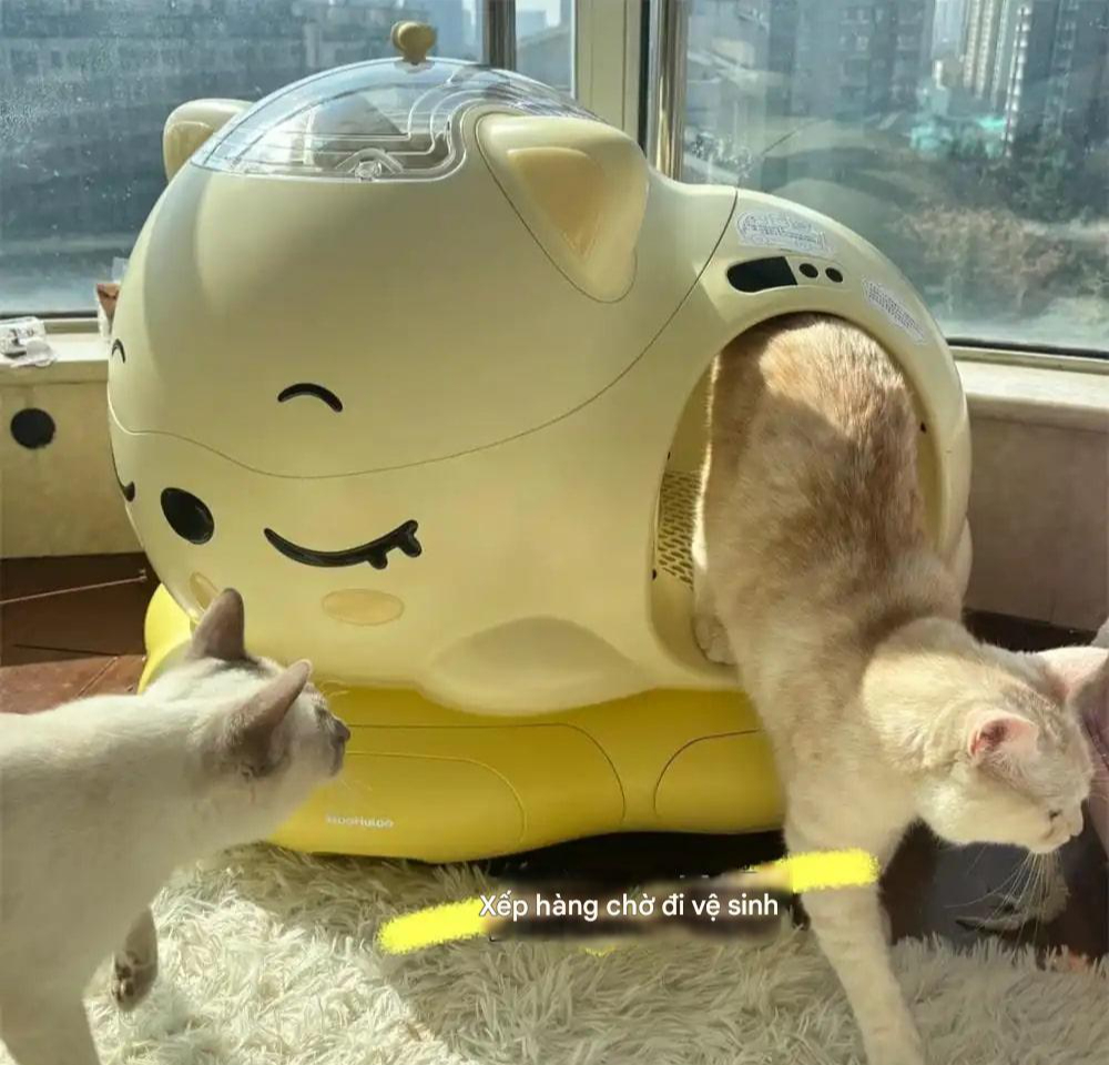 Bức ảnh chụp căn ph&ograve;ng k&igrave; lạ của c&ocirc; g&aacute;i 28 tuổi, ai nh&igrave;n cũng 