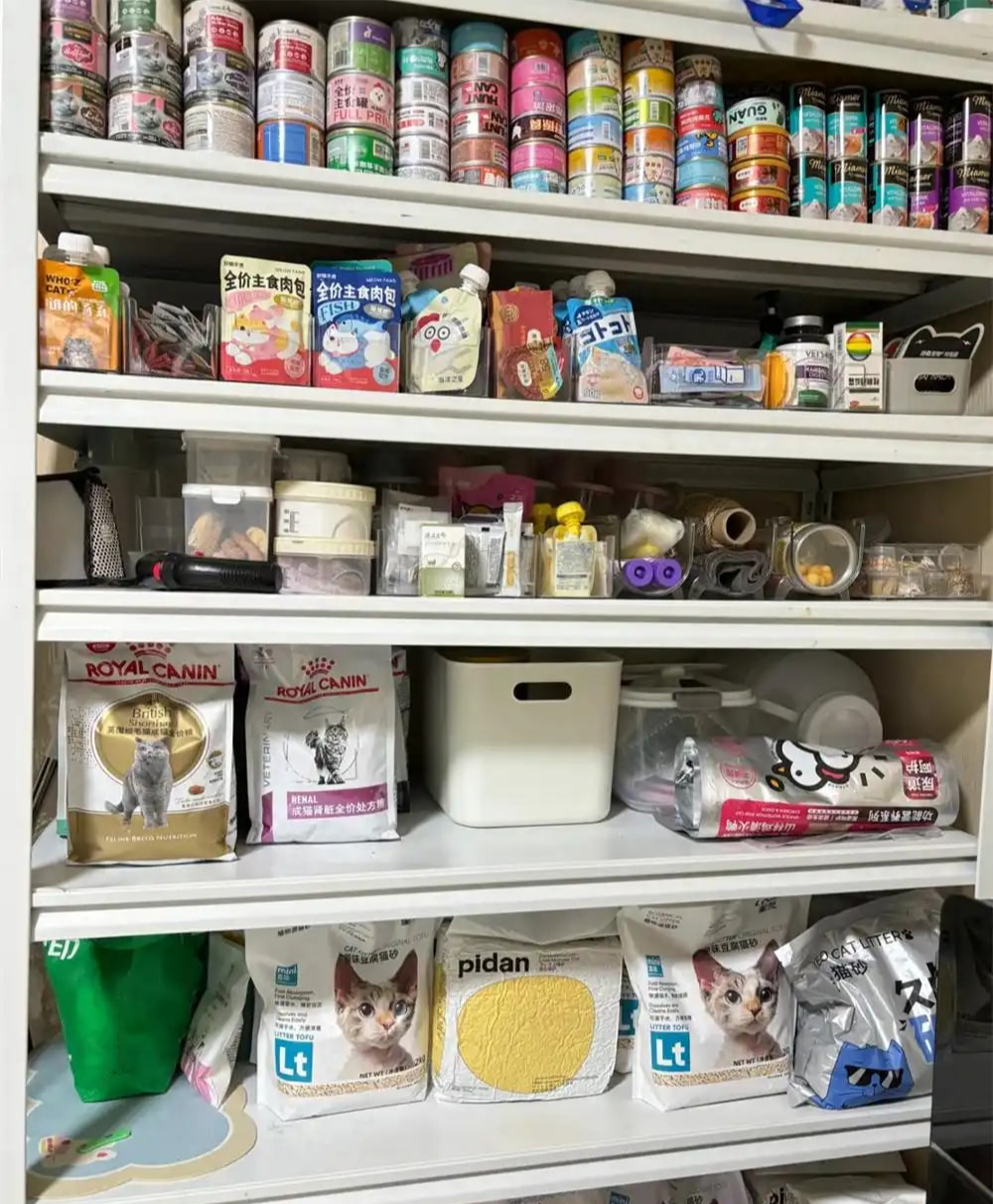 Bức ảnh chụp căn ph&ograve;ng k&igrave; lạ của c&ocirc; g&aacute;i 28 tuổi, ai nh&igrave;n cũng 