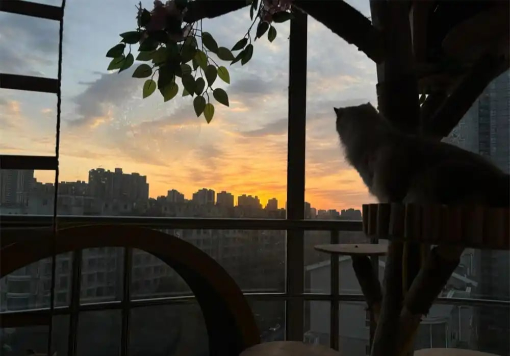 Bức ảnh chụp căn ph&ograve;ng k&igrave; lạ của c&ocirc; g&aacute;i 28 tuổi, ai nh&igrave;n cũng 