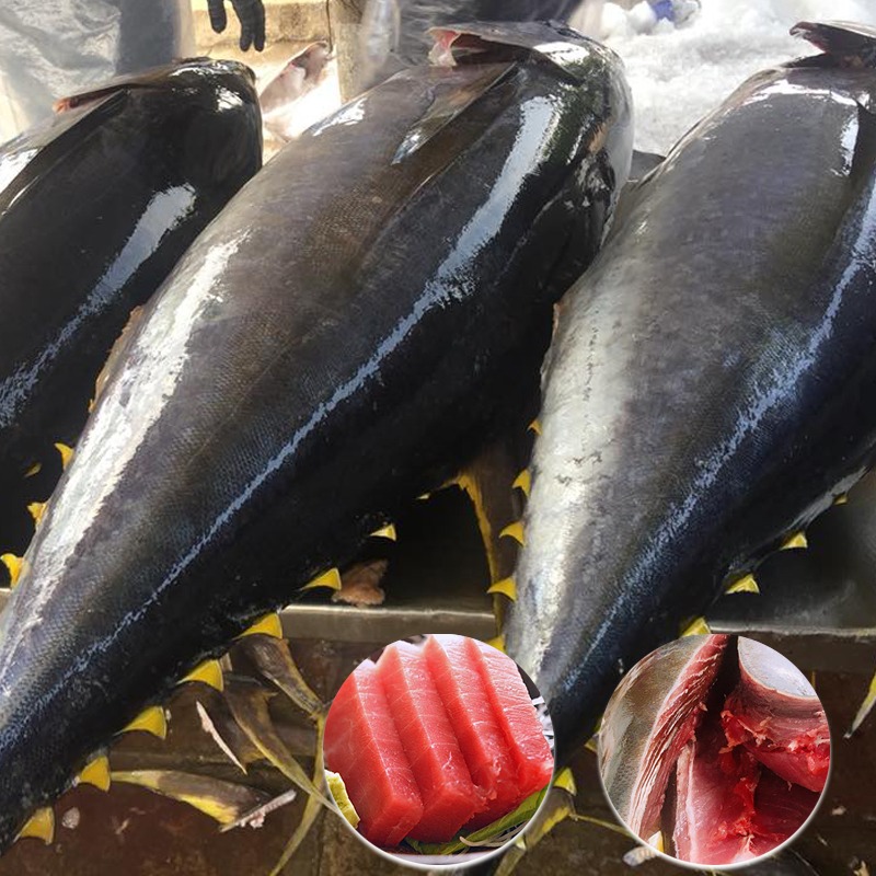 Top 4 hải sản chứa nhiều thủy ng&acirc;n bậc nhất- Ảnh 3.