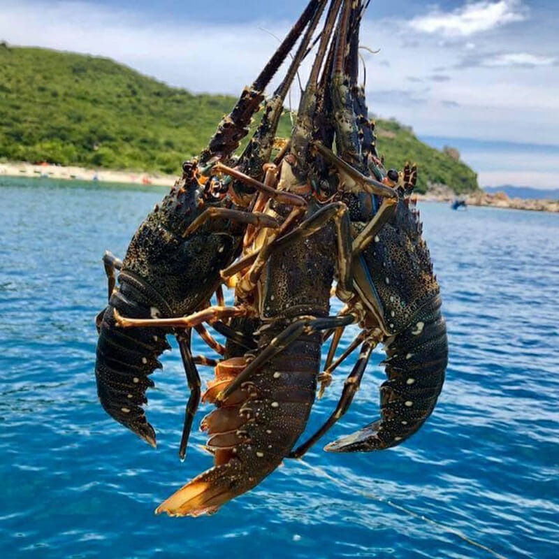 Top 4 hải sản chứa nhiều thủy ng&acirc;n bậc nhất- Ảnh 4.