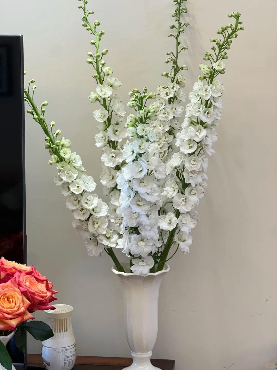 Muốn nh&agrave; sang như T&acirc;y dịp Tết, thử ngay phi yến xanh: Người mới chơi chớ dại mua loại n&agrave;y kẻo "tiền mất tật mang"- Ảnh 6.