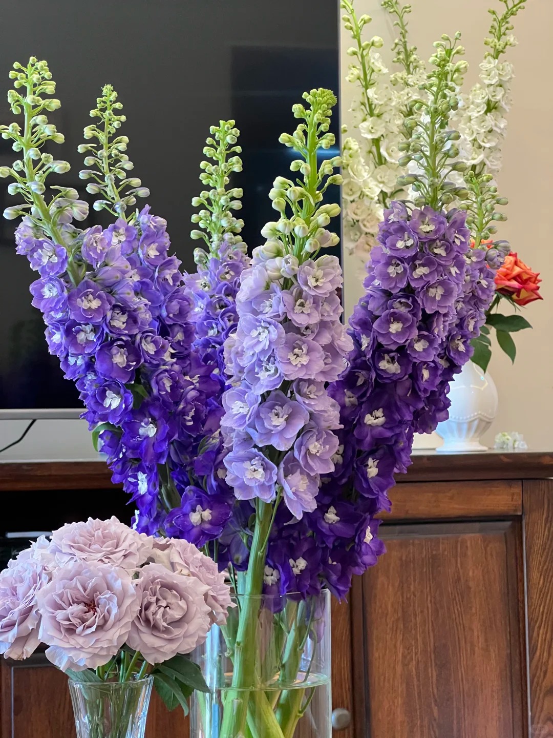 Muốn nh&agrave; sang như T&acirc;y dịp Tết, thử ngay phi yến xanh: Người mới chơi chớ dại mua loại n&agrave;y kẻo "tiền mất tật mang"- Ảnh 8.