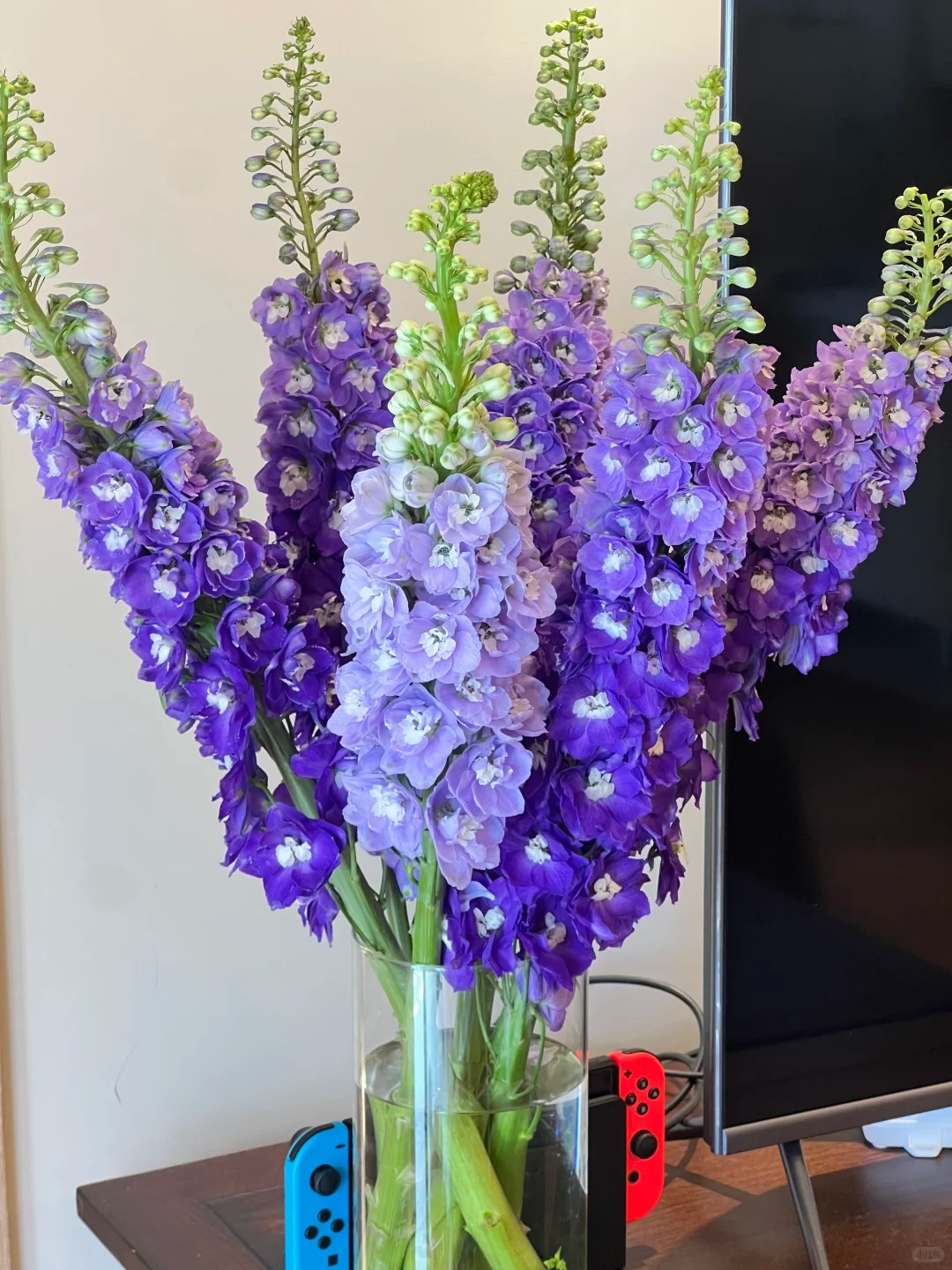 Muốn nh&agrave; sang như T&acirc;y dịp Tết, thử ngay phi yến xanh: Người mới chơi chớ dại mua loại n&agrave;y kẻo "tiền mất tật mang"- Ảnh 7.