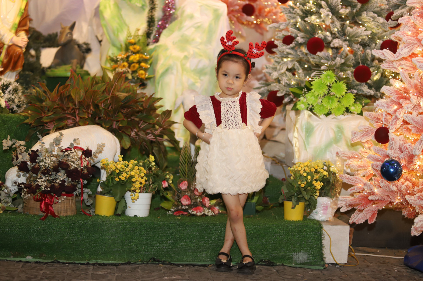 Bạn trẻ rạng rỡ check-in với h&agrave;ng th&ocirc;ng Noel lung linh, huyền ảo- Ảnh 3.