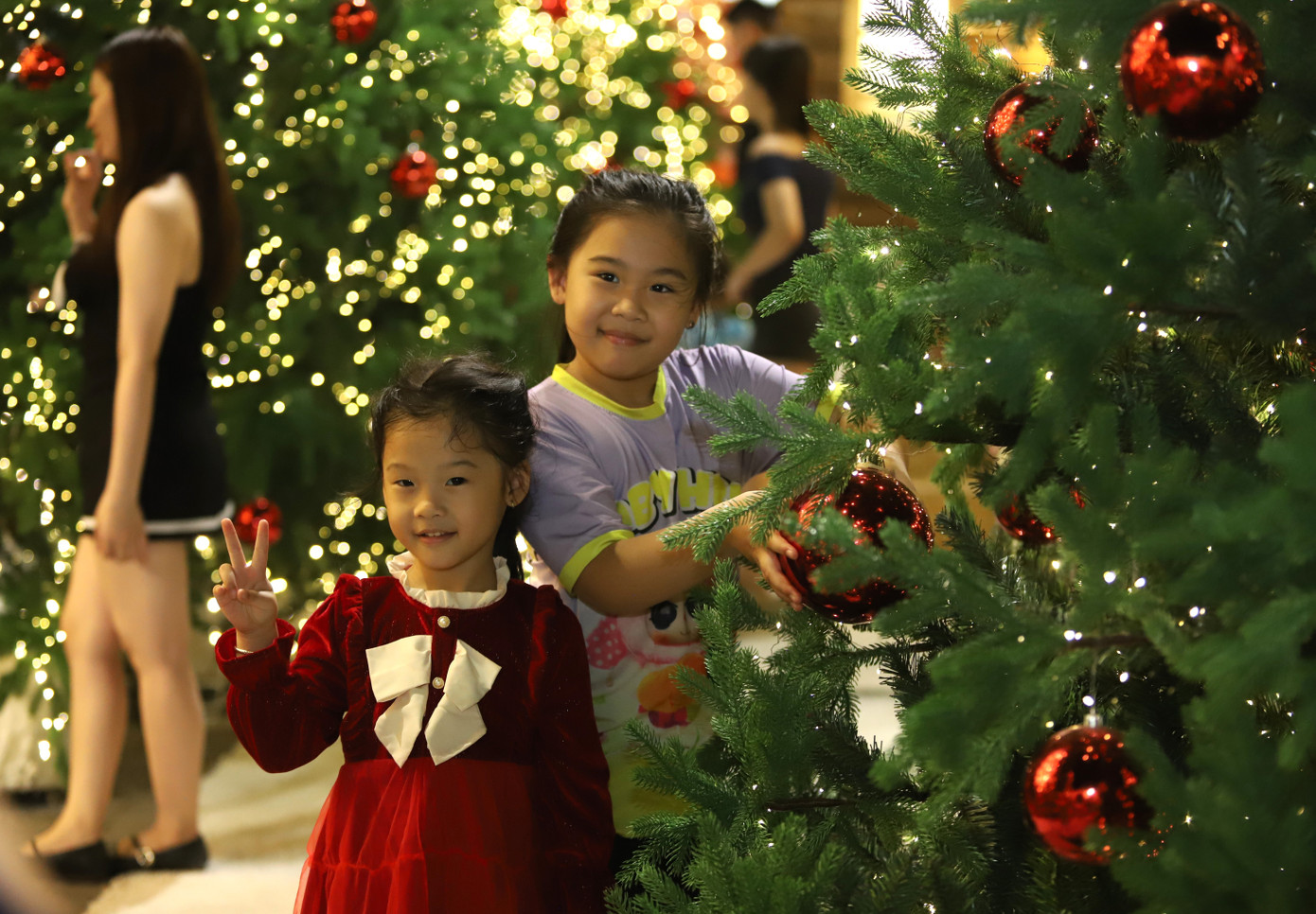 Bạn trẻ rạng rỡ check-in với h&agrave;ng th&ocirc;ng Noel lung linh, huyền ảo- Ảnh 14.