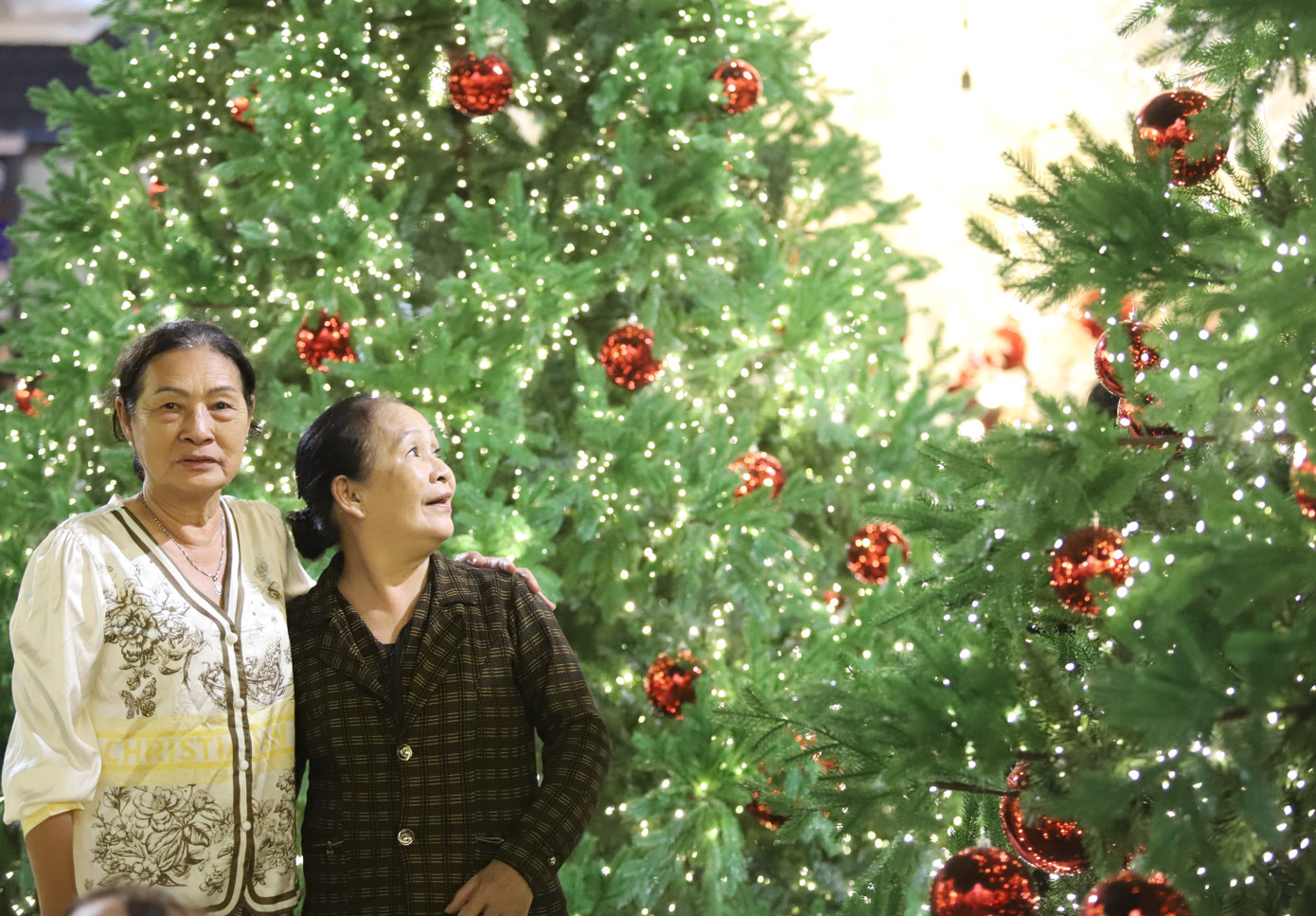 Bạn trẻ rạng rỡ check-in với h&agrave;ng th&ocirc;ng Noel lung linh, huyền ảo- Ảnh 15.