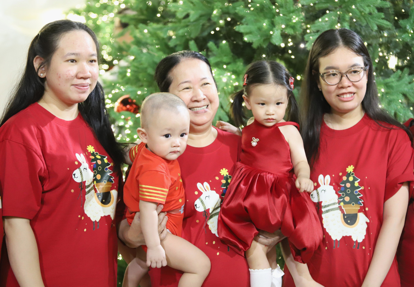 Bạn trẻ rạng rỡ check-in với h&agrave;ng th&ocirc;ng Noel lung linh, huyền ảo- Ảnh 11.