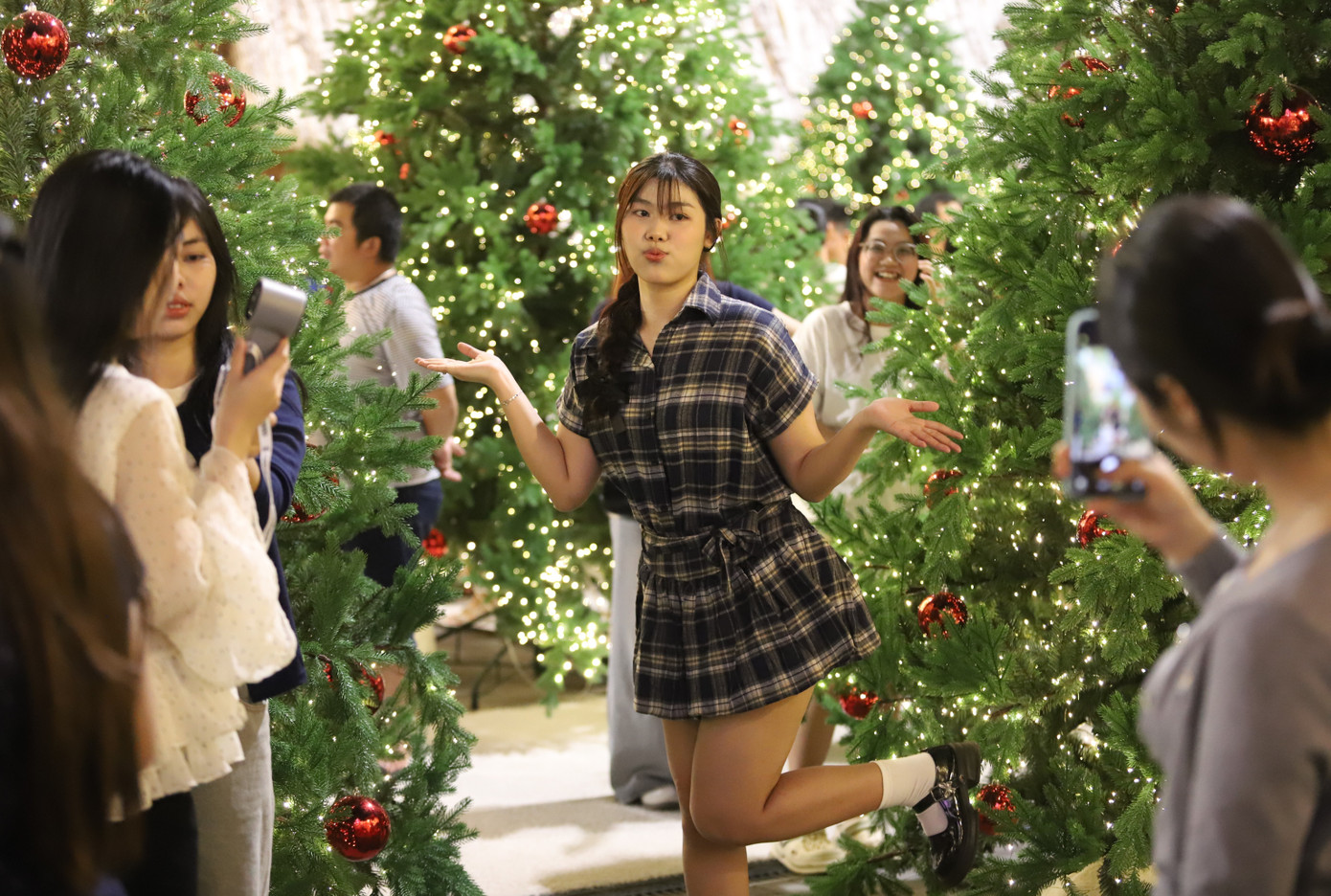 Bạn trẻ rạng rỡ check-in với h&agrave;ng th&ocirc;ng Noel lung linh, huyền ảo- Ảnh 19.