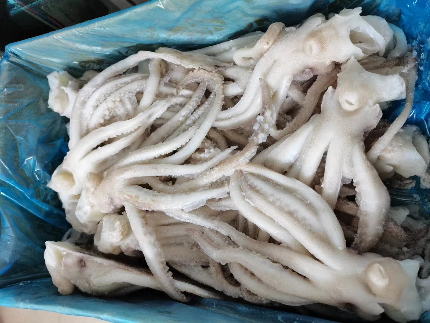 Thanh H&oacute;a thu giữ hơn 7 tấn c&aacute; bảo quản bằng chất cấm: 3 mẹo 