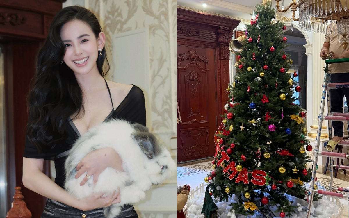 Nh&agrave; gi&agrave;u chơi Noel kiểu g&igrave;? Lộ diện c&acirc;y th&ocirc;ng của 1 ph&uacute; b&agrave; "giữ chuỗi đầu tư khủng", đẹp kh&ocirc;ng đối thủ- Ảnh 17.