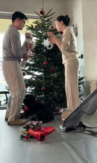 Nh&agrave; gi&agrave;u chơi Noel kiểu g&igrave;? Lộ diện c&acirc;y th&ocirc;ng của 1 ph&uacute; b&agrave; "giữ chuỗi đầu tư khủng", đẹp kh&ocirc;ng đối thủ- Ảnh 5.