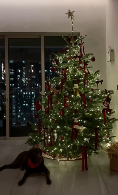 Nh&agrave; gi&agrave;u chơi Noel kiểu g&igrave;? Lộ diện c&acirc;y th&ocirc;ng của 1 ph&uacute; b&agrave; "giữ chuỗi đầu tư khủng", đẹp kh&ocirc;ng đối thủ- Ảnh 7.