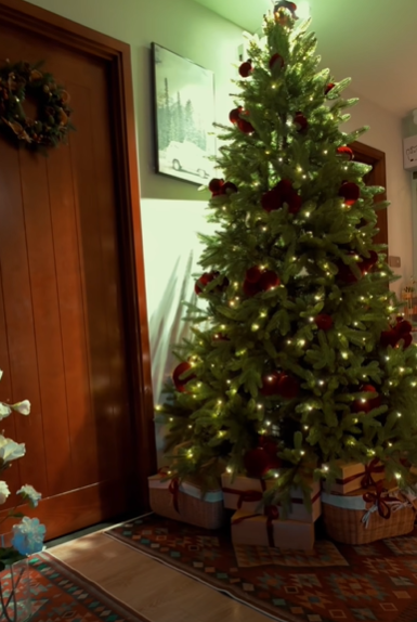 Nh&agrave; gi&agrave;u chơi Noel kiểu g&igrave;? Lộ diện c&acirc;y th&ocirc;ng của 1 ph&uacute; b&agrave; "giữ chuỗi đầu tư khủng", đẹp kh&ocirc;ng đối thủ- Ảnh 14.