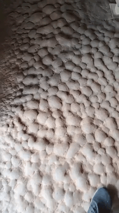 "Đặc sản" nh&agrave; người miền T&acirc;y, ai yếu tim l&agrave; dễ... rợn t&oacute;c g&aacute;y- Ảnh 2.