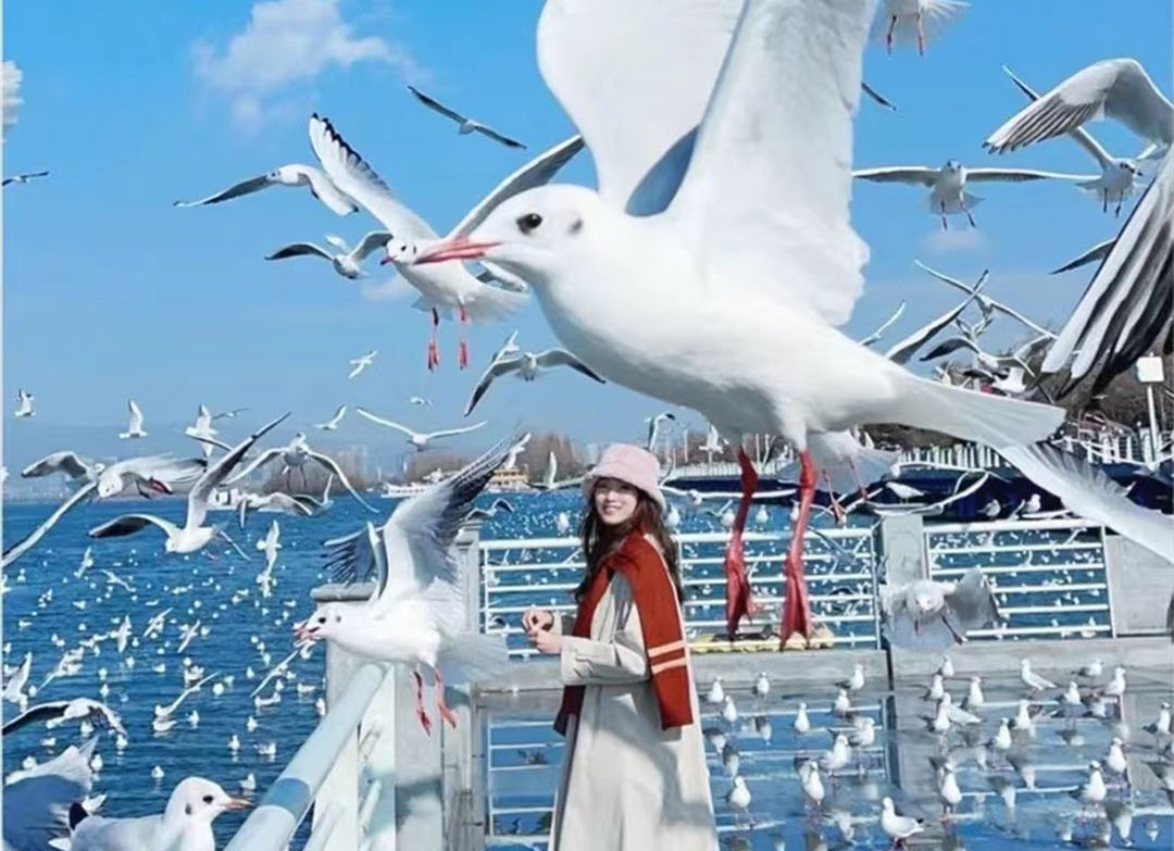 Kh&aacute;ch Việt kể chuyện đi ngắm tuyết tr&ecirc;n n&uacute;i cao hơn 4000m ở Trung Quốc, nhận x&eacute;t: 