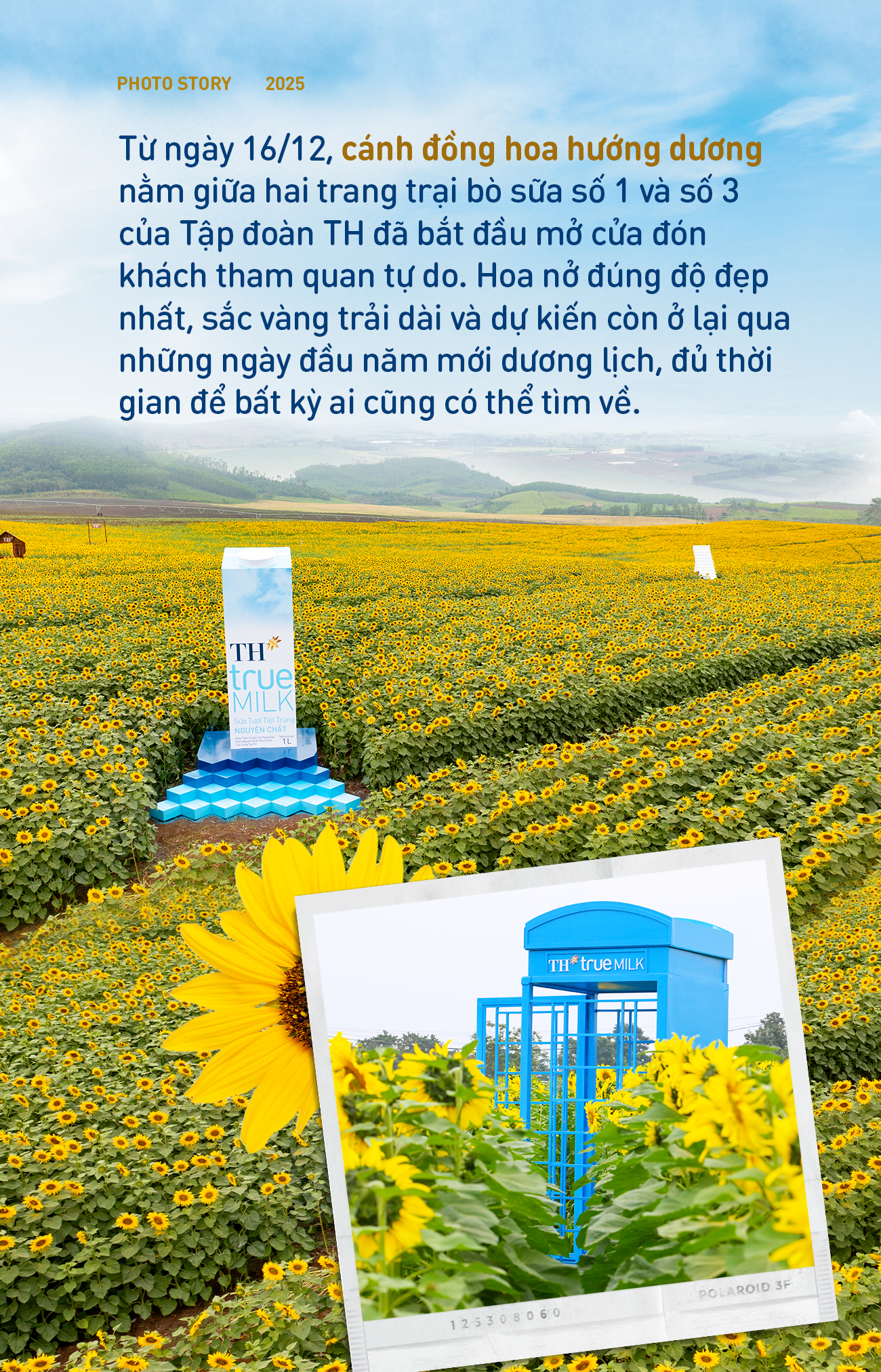 Chuyến đi để "sống chậm" giữa m&ugrave;a hoa hướng dương đẹp nhất- Ảnh 2.