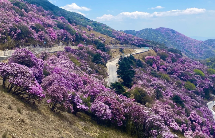 Kh&aacute;ch Việt kể chuyện đi ngắm tuyết tr&ecirc;n n&uacute;i cao hơn 4000m ở Trung Quốc, nhận x&eacute;t: 