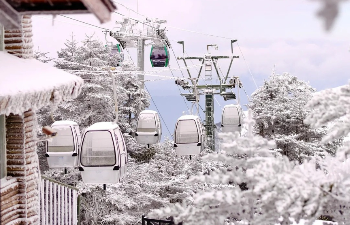 Kh&aacute;ch Việt kể chuyện đi ngắm tuyết tr&ecirc;n n&uacute;i cao hơn 4000m ở Trung Quốc, nhận x&eacute;t: 