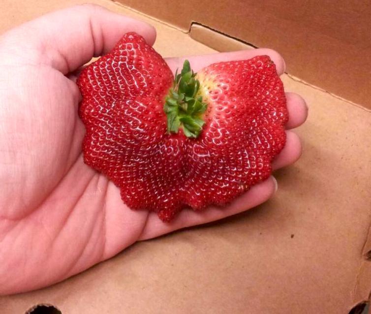 XIN NHẮC NHỞ: 3 loại trái cây tế bào ung thư "yêu thích", bác sĩ không dám động nhưng nhiều người ngày nào cũng ăn- Ảnh 2.