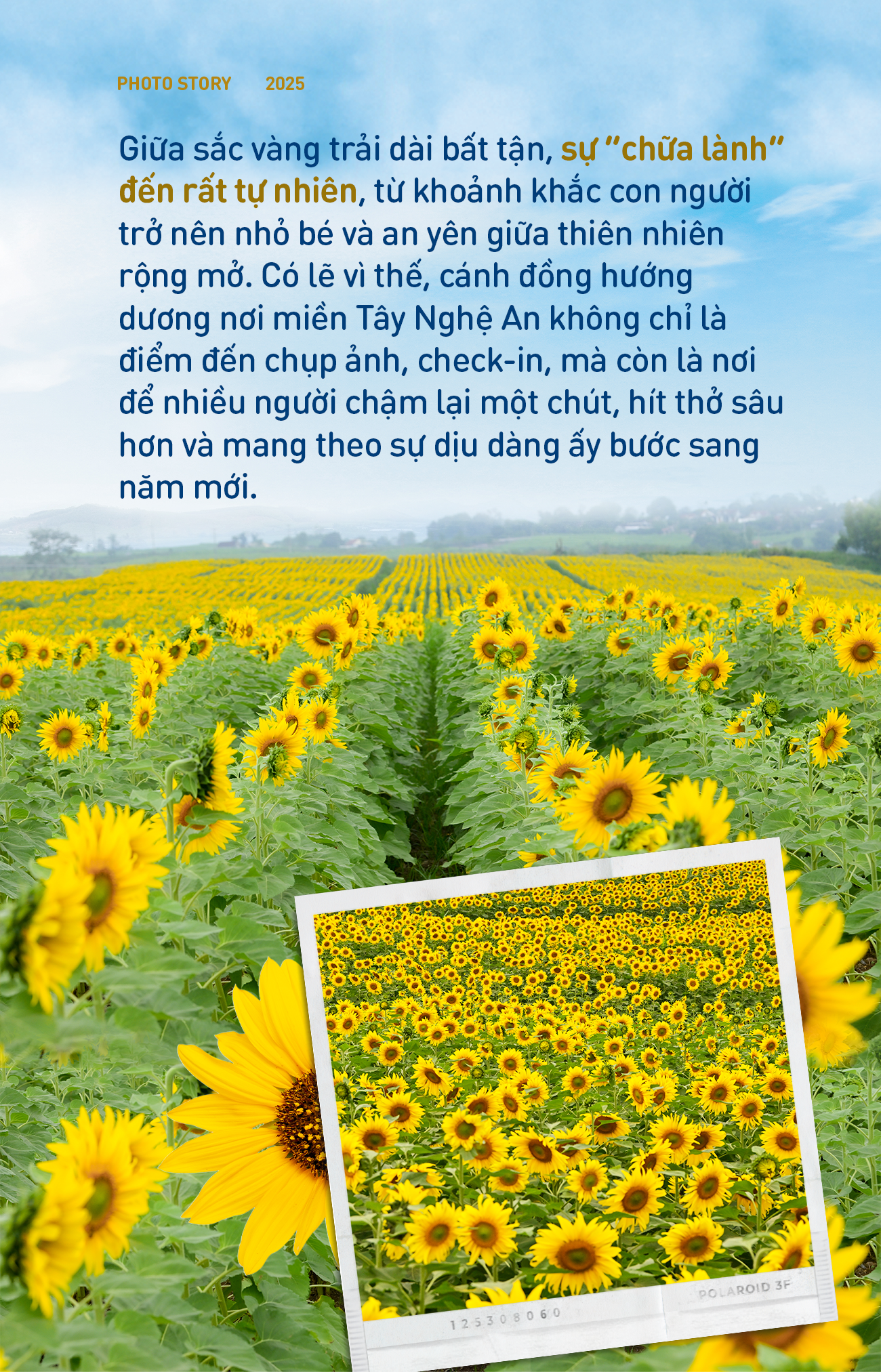 Chuyến đi để "sống chậm" giữa m&ugrave;a hoa hướng dương đẹp nhất- Ảnh 5.