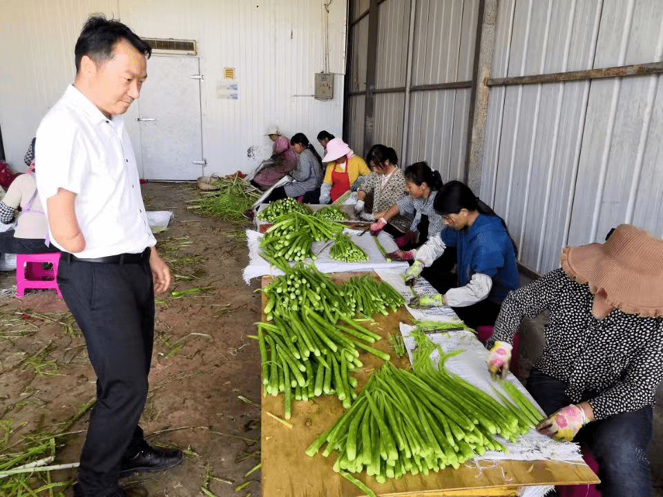 Ph&aacute;t hiện người đ&agrave;n &ocirc;ng sinh năm 1984 b&aacute;n rau kiếm hơn 37 tỷ đồng/năm- Ảnh 3.