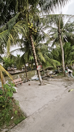 Kiếp nạn m&agrave; shipper n&agrave;o cũng phải đối mặt: Chạy b&aacute;n sống b&aacute;n chết giữa đường, c&aacute;i kết khiến ai cũng bật cười- Ảnh 1.