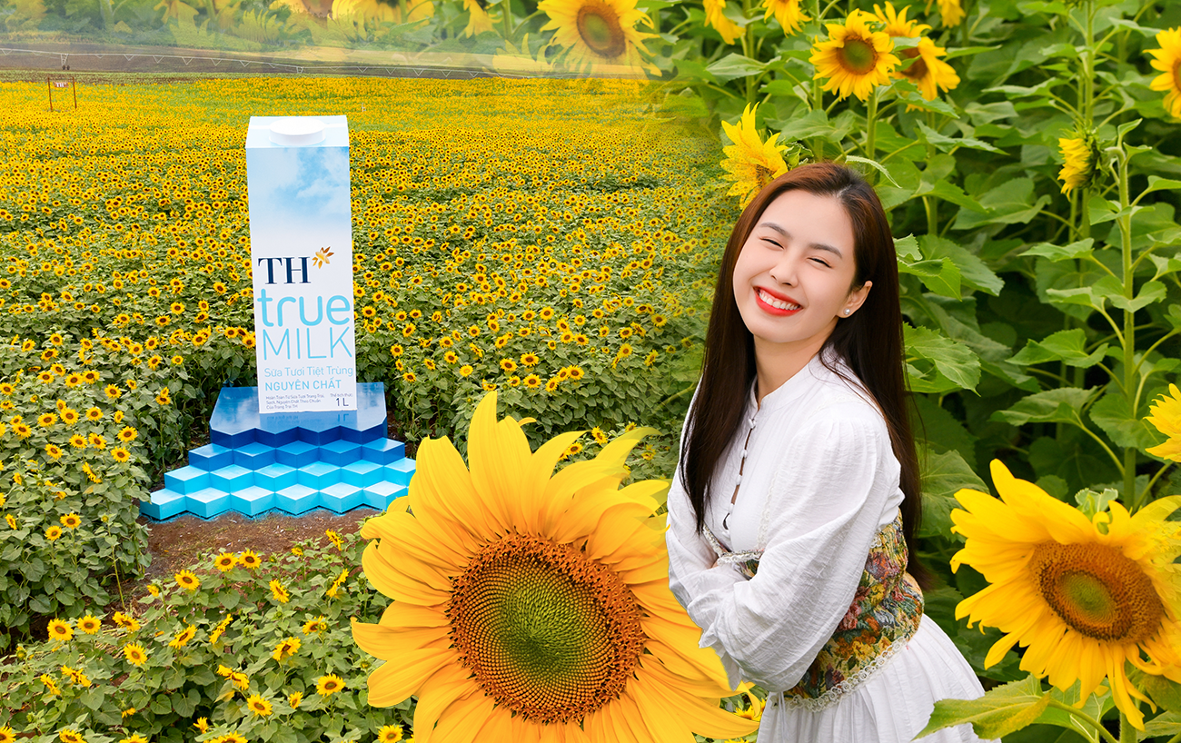 Chuyến đi để "sống chậm" giữa m&ugrave;a hoa hướng dương đẹp nhất- Ảnh 1.