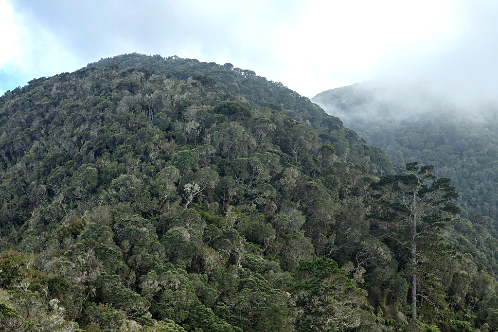 Một kỳ t&iacute;ch điện cao thế xuất hiện ở Cuba- Ảnh 2.