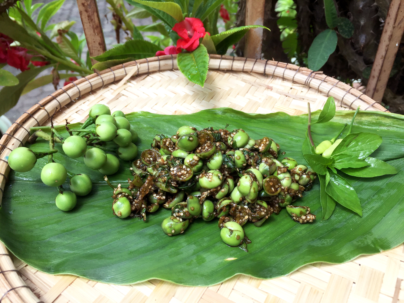 Loại quả mọc dại c&oacute; vị đắng đặc trưng nay th&agrave;nh đặc sản, đặc biệt ngon khi nấu c&ugrave;ng thịt ba chỉ- Ảnh 4.