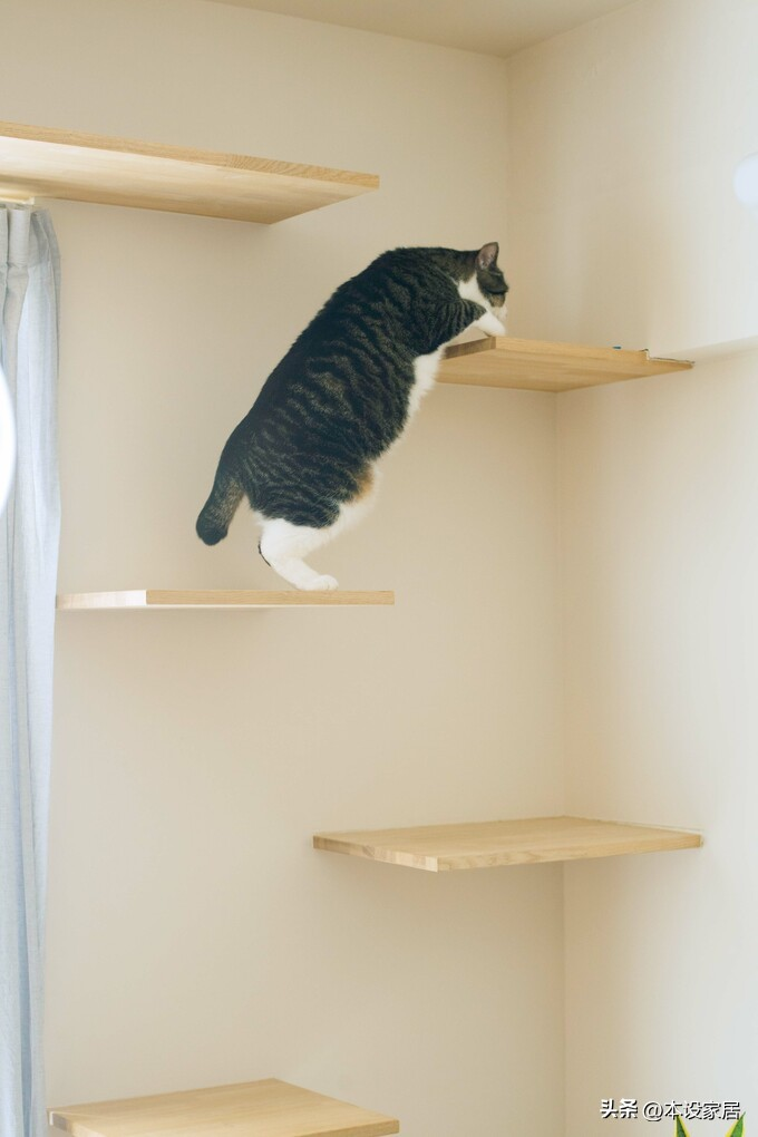 Ở tuổi 38 sống một m&igrave;nh trong căn hộ 47m&sup2;, c&ocirc; g&aacute;i g&acirc;y &ldquo;cho&aacute;ng&rdquo; v&igrave; nh&agrave; qu&aacute; sạch - cuộc sống thư th&aacute;i bất ngờ- Ảnh 5.