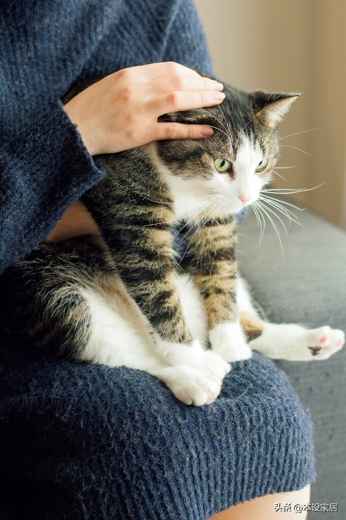 Ở tuổi 38 sống một m&igrave;nh trong căn hộ 47m&sup2;, c&ocirc; g&aacute;i g&acirc;y &ldquo;cho&aacute;ng&rdquo; v&igrave; nh&agrave; qu&aacute; sạch - cuộc sống thư th&aacute;i bất ngờ- Ảnh 4.