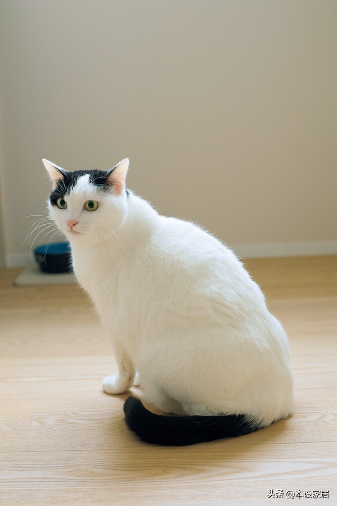 Ở tuổi 38 sống một m&igrave;nh trong căn hộ 47m&sup2;, c&ocirc; g&aacute;i g&acirc;y &ldquo;cho&aacute;ng&rdquo; v&igrave; nh&agrave; qu&aacute; sạch - cuộc sống thư th&aacute;i bất ngờ- Ảnh 3.