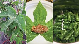 Việt Nam c&oacute; loại rau cực bổ dưỡng, được giới khoa học khen ngợi hết lời: Tiếc l&agrave; &iacute;t người biết để ăn- Ảnh 4.