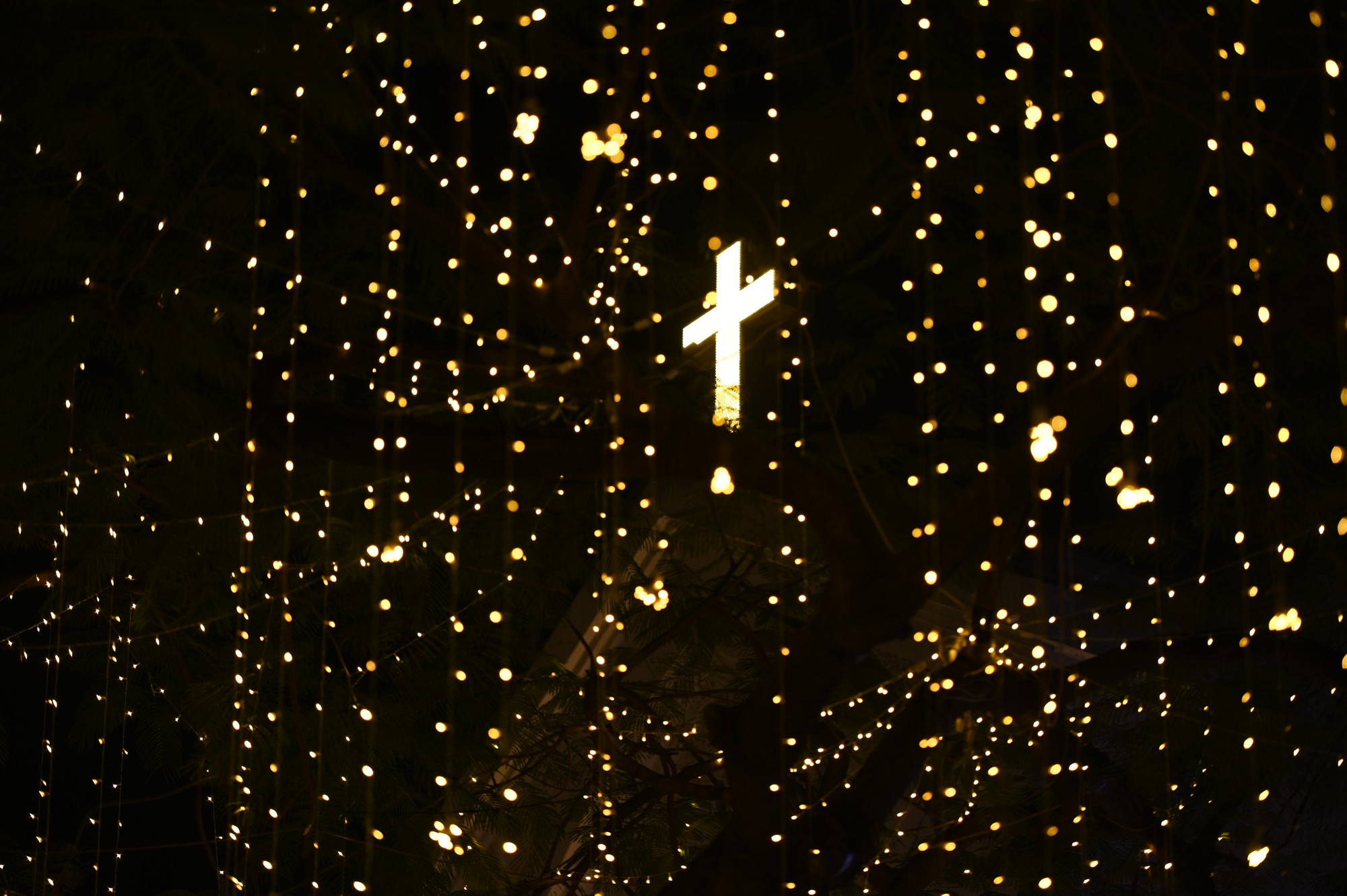 
TP.HCM bất ngờ đổ mưa đ&ecirc;m Noel: Những khoảnh khắc tr&aacute;i ngược giữa phố- Ảnh 3.