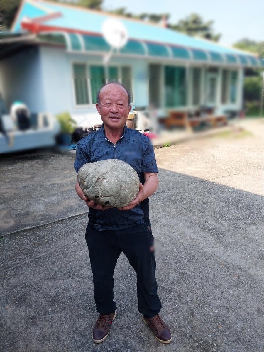 &Ocirc;ng l&atilde;o n&ocirc;ng d&acirc;n nhặt được kho b&aacute;u tiền tỷ khi đi cắt cỏ- Ảnh 1.