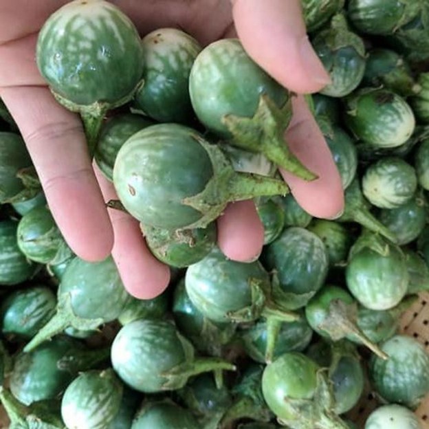 Loại quả mọc dại c&oacute; vị đắng đặc trưng nay th&agrave;nh đặc sản, đặc biệt ngon khi nấu c&ugrave;ng thịt ba chỉ- Ảnh 3.