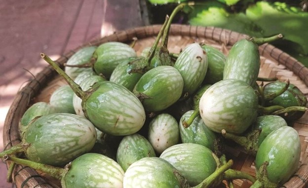 Loại quả mọc dại c&oacute; vị đắng đặc trưng nay th&agrave;nh đặc sản, đặc biệt ngon khi nấu c&ugrave;ng thịt ba chỉ- Ảnh 7.