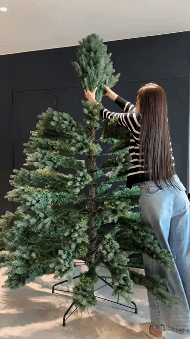 Gi&aacute;ng sinh đặc biệt nhất của Đỗ H&agrave; v&agrave; 