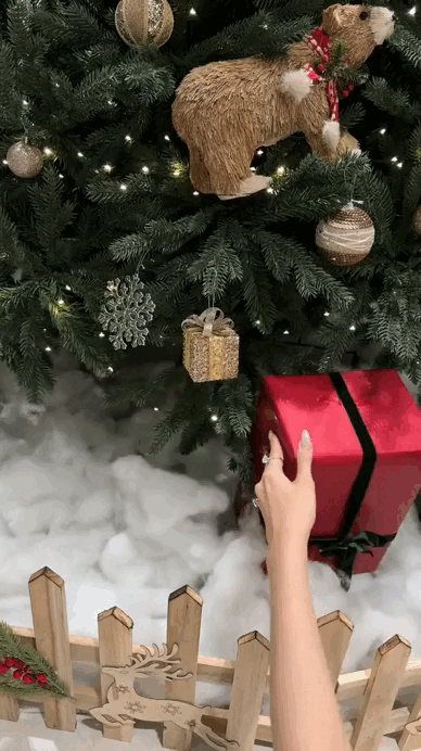 Gi&aacute;ng sinh đặc biệt nhất của Đỗ H&agrave; v&agrave; 