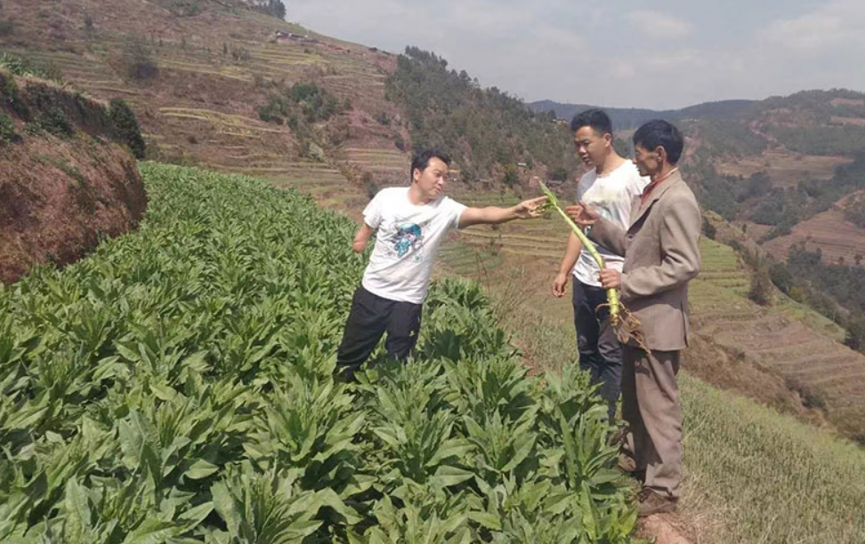 Ph&aacute;t hiện người đ&agrave;n &ocirc;ng sinh năm 1984 b&aacute;n rau kiếm hơn 37 tỷ đồng/năm- Ảnh 1.