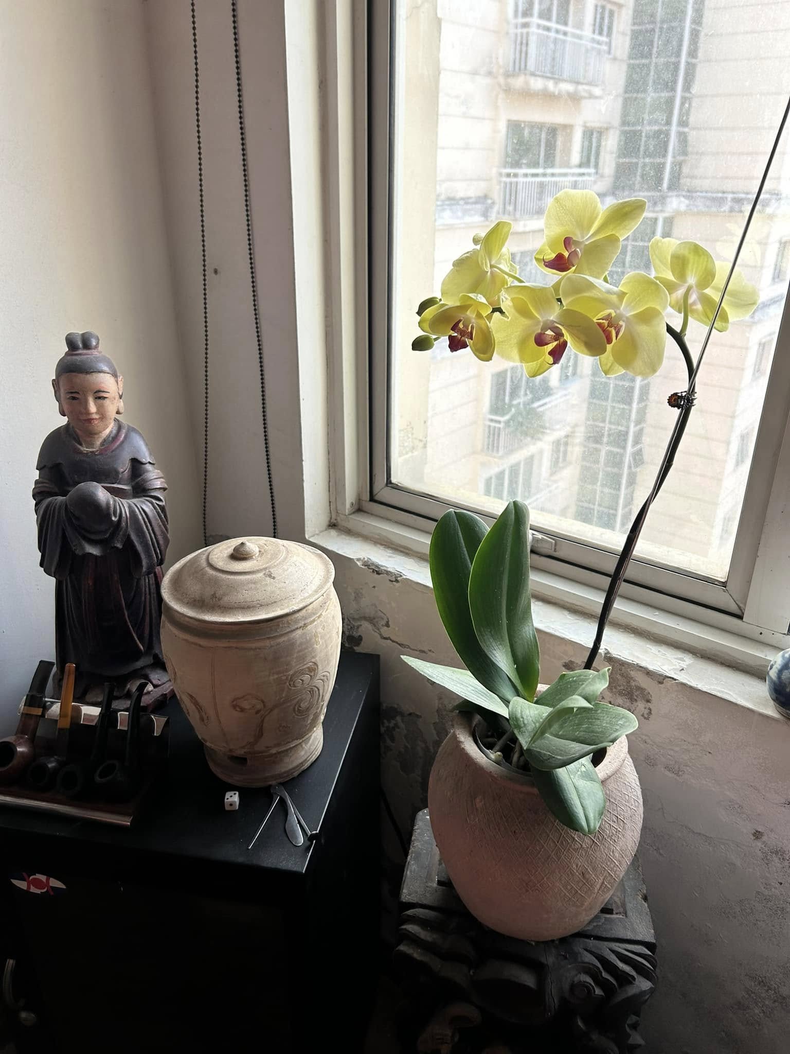 Nh&agrave; ri&ecirc;ng của NSND Trần Lực, &ocirc;ng bố đ&ocirc;ng con U65 vẫn sống độc th&acirc;n sau 3 cuộc h&ocirc;n nh&acirc;n- Ảnh 5.