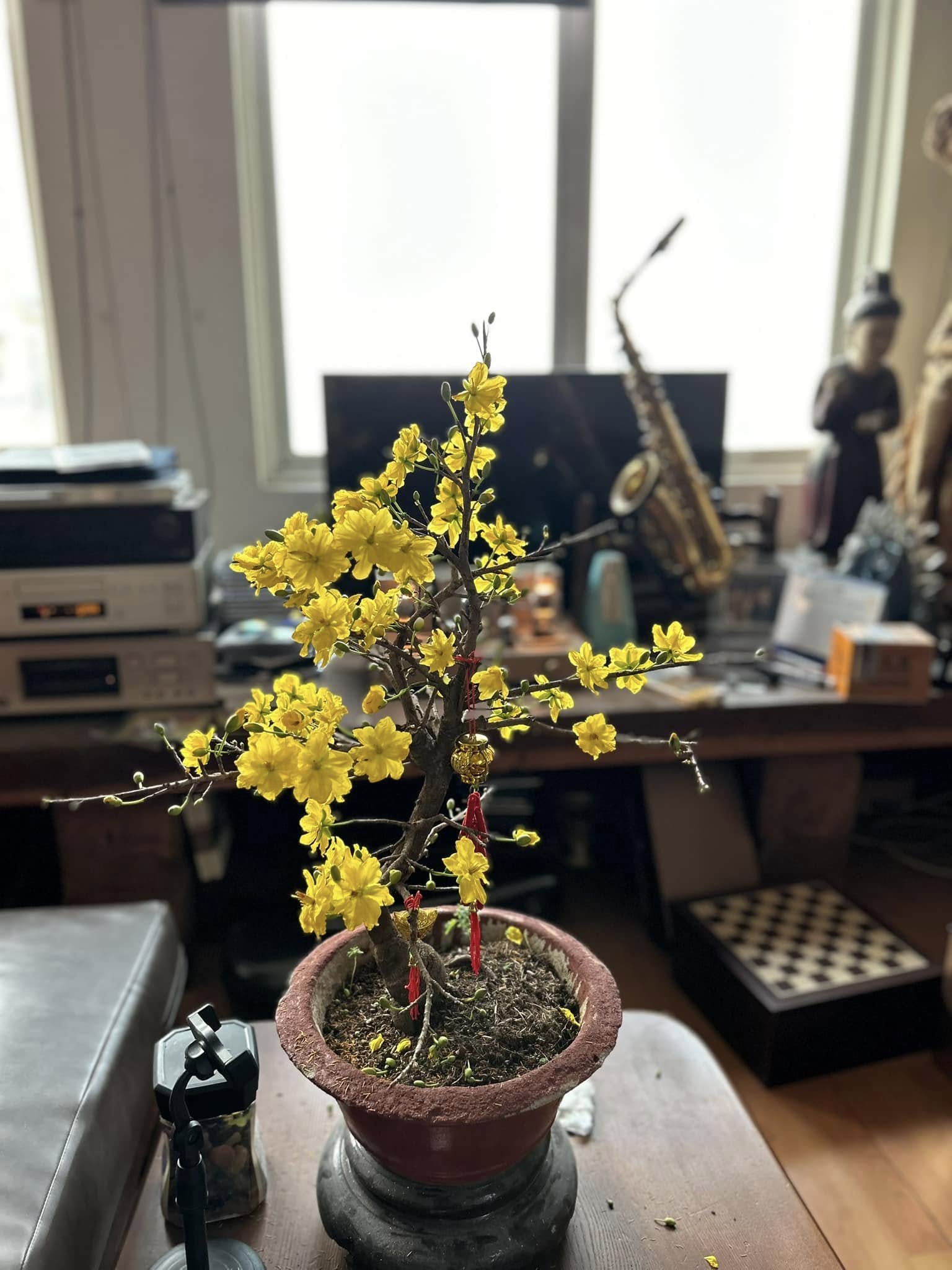 Nh&agrave; ri&ecirc;ng của NSND Trần Lực, &ocirc;ng bố đ&ocirc;ng con U65 vẫn sống độc th&acirc;n sau 3 cuộc h&ocirc;n nh&acirc;n- Ảnh 7.