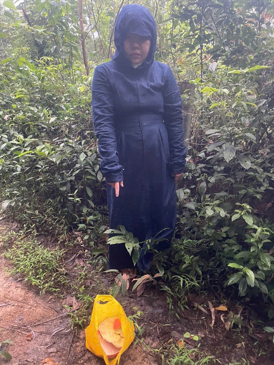 Bắt giữ Võ Thị Thu Phương 29 tuổi- Ảnh 1. Bắt giữ Võ Thị Thu Phương 29 tuổi- Ảnh 1.